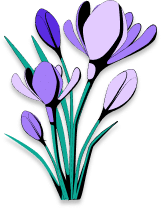 Graphic of a purple flower.